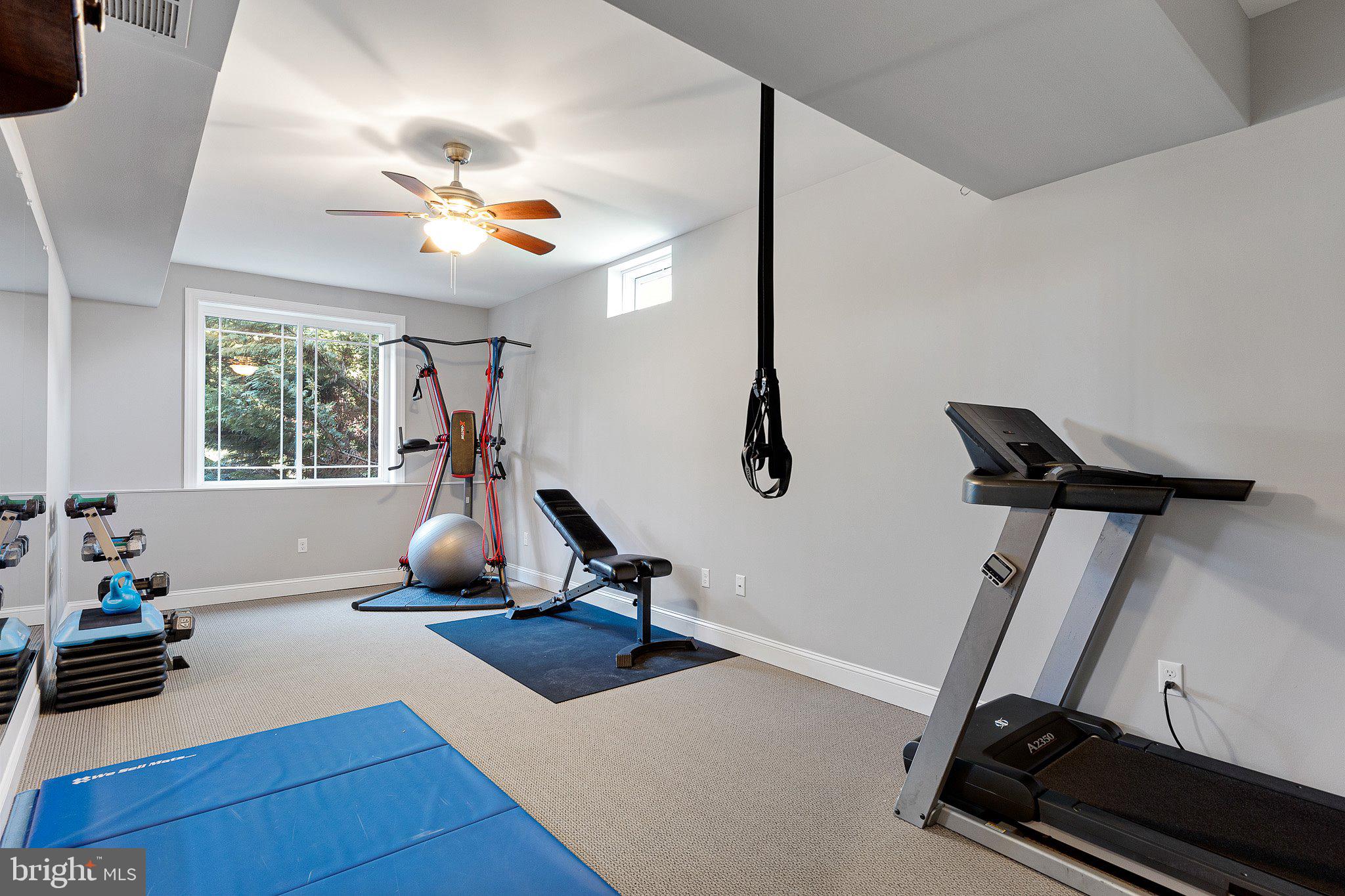 211 Sugar Pine Drive Middletown, DE 19709 - Photo 32 of 42 Gym off of the Family Room