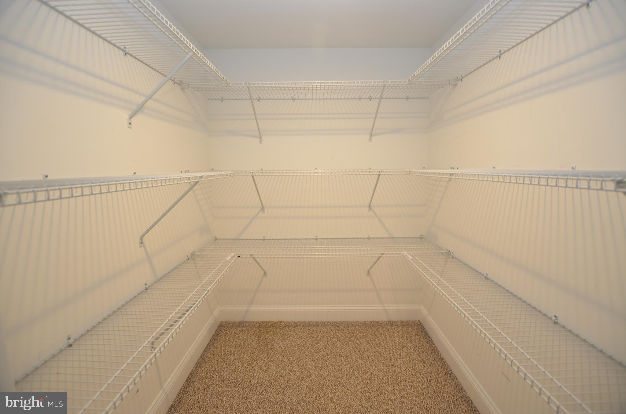 25 Homewood Road Wilmington, DE 19803 - Photo 29 of 36 Lower Level Walk-In Closet