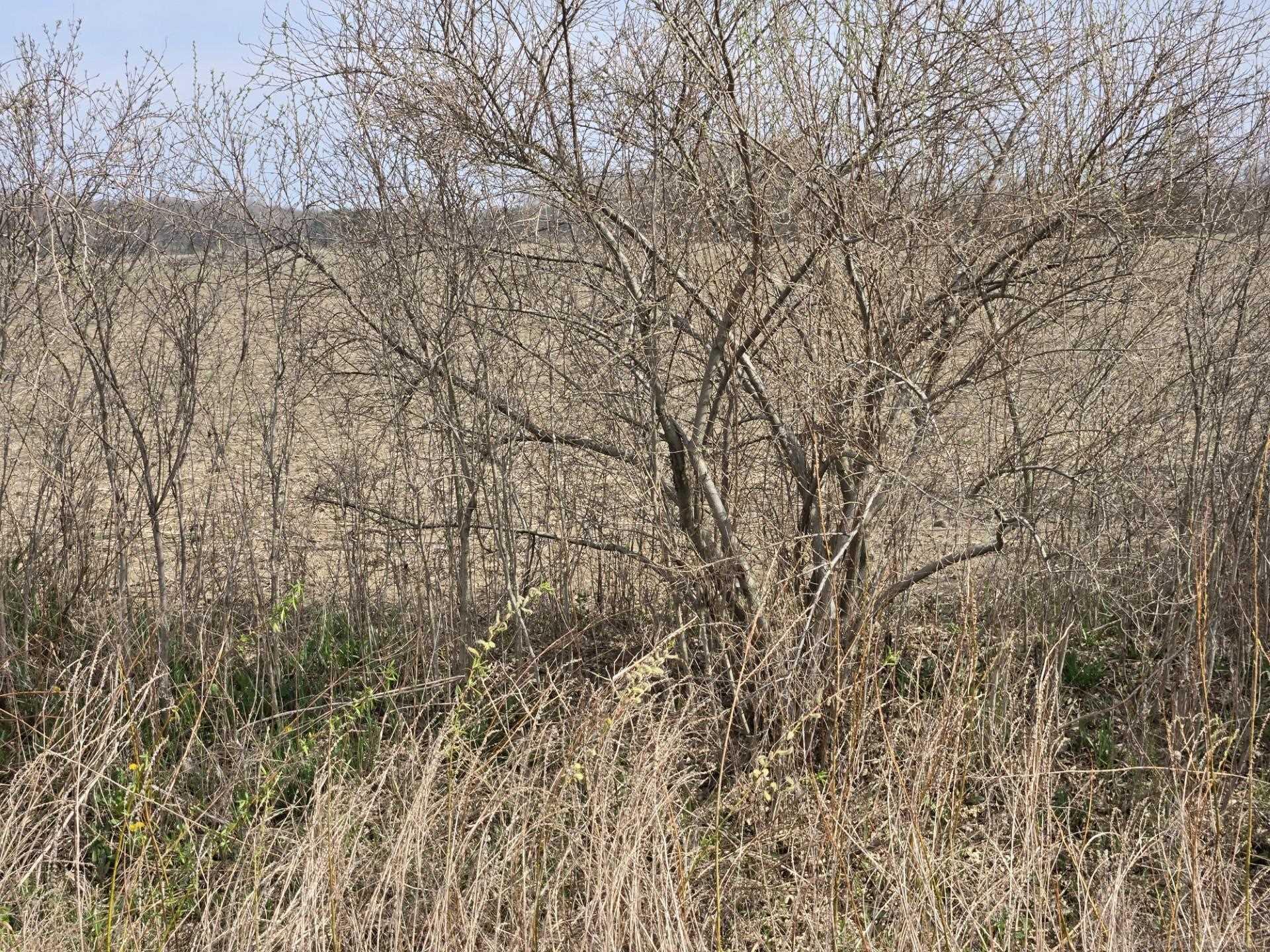 0 Weber (lot B) Road Columbus, MI 48063 - Photo 1 of 14