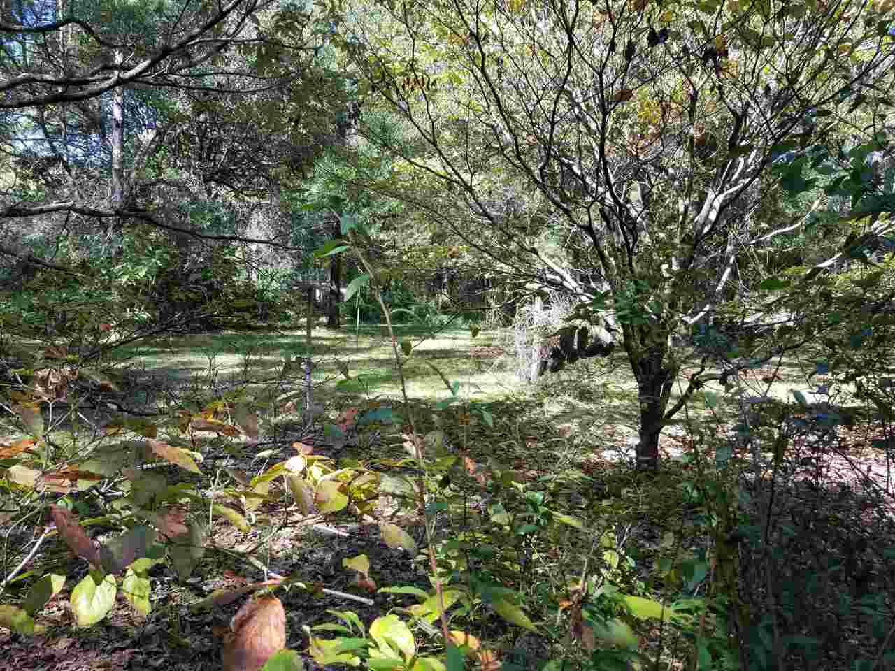 1297 Riverview Road Havana, FL 32333 - Photo 14 of 20 Gallery Image 14
