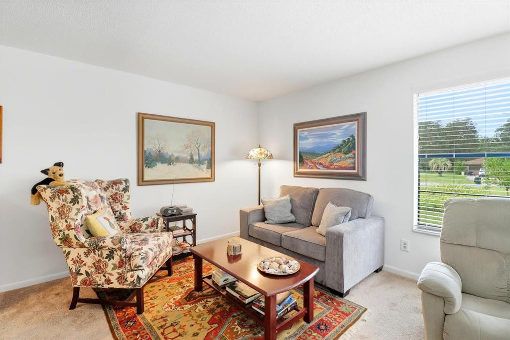 3103 South Bay Berry Point Inverness, FL 34450 - Photo 14 of 50 a living room with furniture a rug and a large window