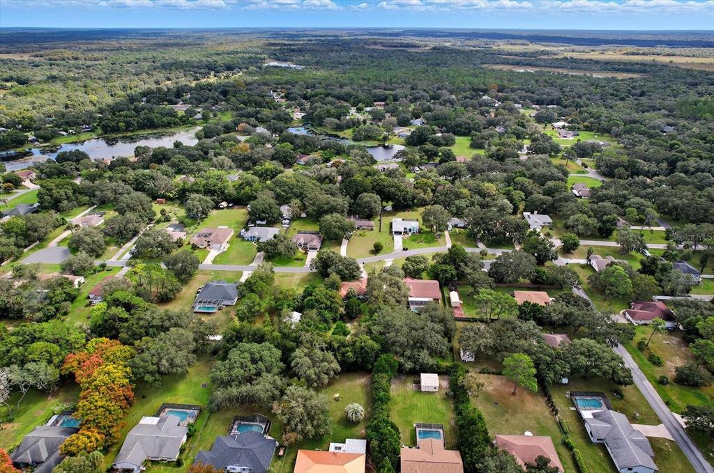 3103 South Bay Berry Point Inverness, FL 34450 - Photo 45 of 50 an aerial view of residential houses with outdoor space and trees