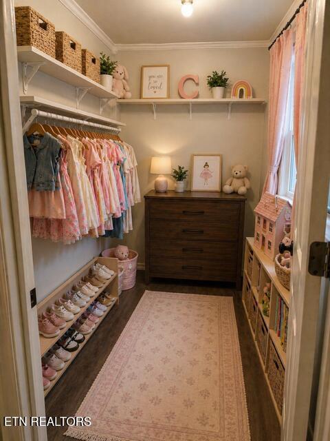1824 Montvale Road Maryville, TN 37803 - Photo 17 of 47 Bedroom 1 Walkin Closet