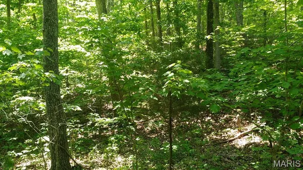 $29,900 | Lot #9 Lake Way, Winona, MO 65588