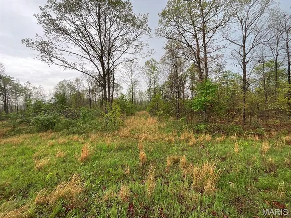 $22,900 | Lot #9 Lake Way, Winona, MO 65588