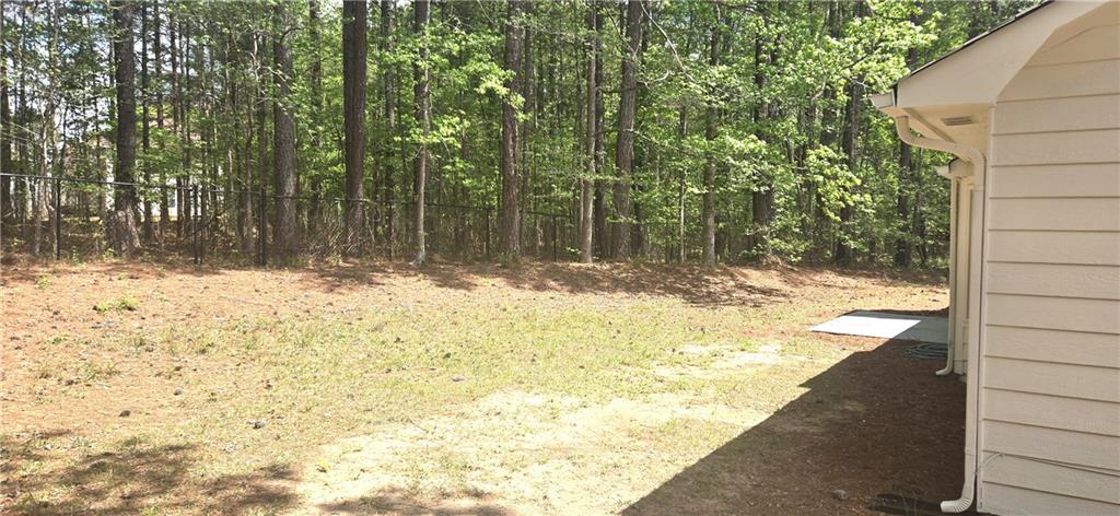 11013 Clearwater Drive Hampton, GA 30228 - Photo 3 of 23 a view of a yard with trees