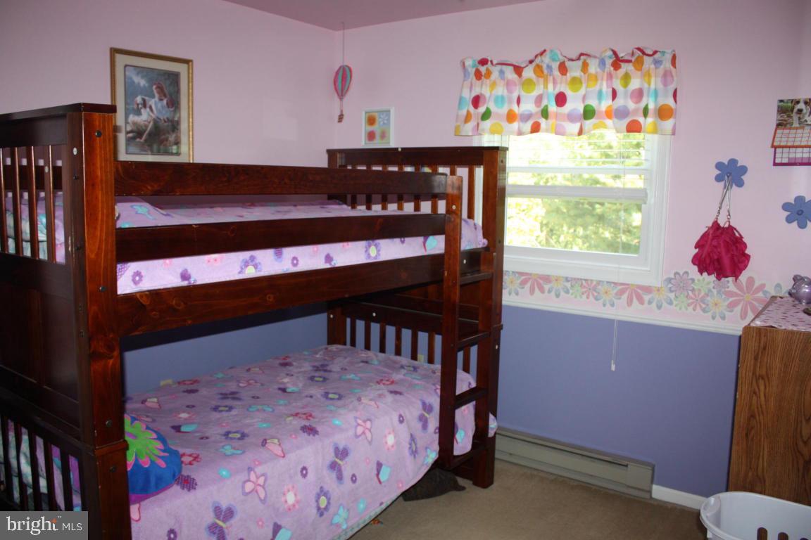 906 Hannah Drive Lititz, PA 17543 - Photo 9 of 23