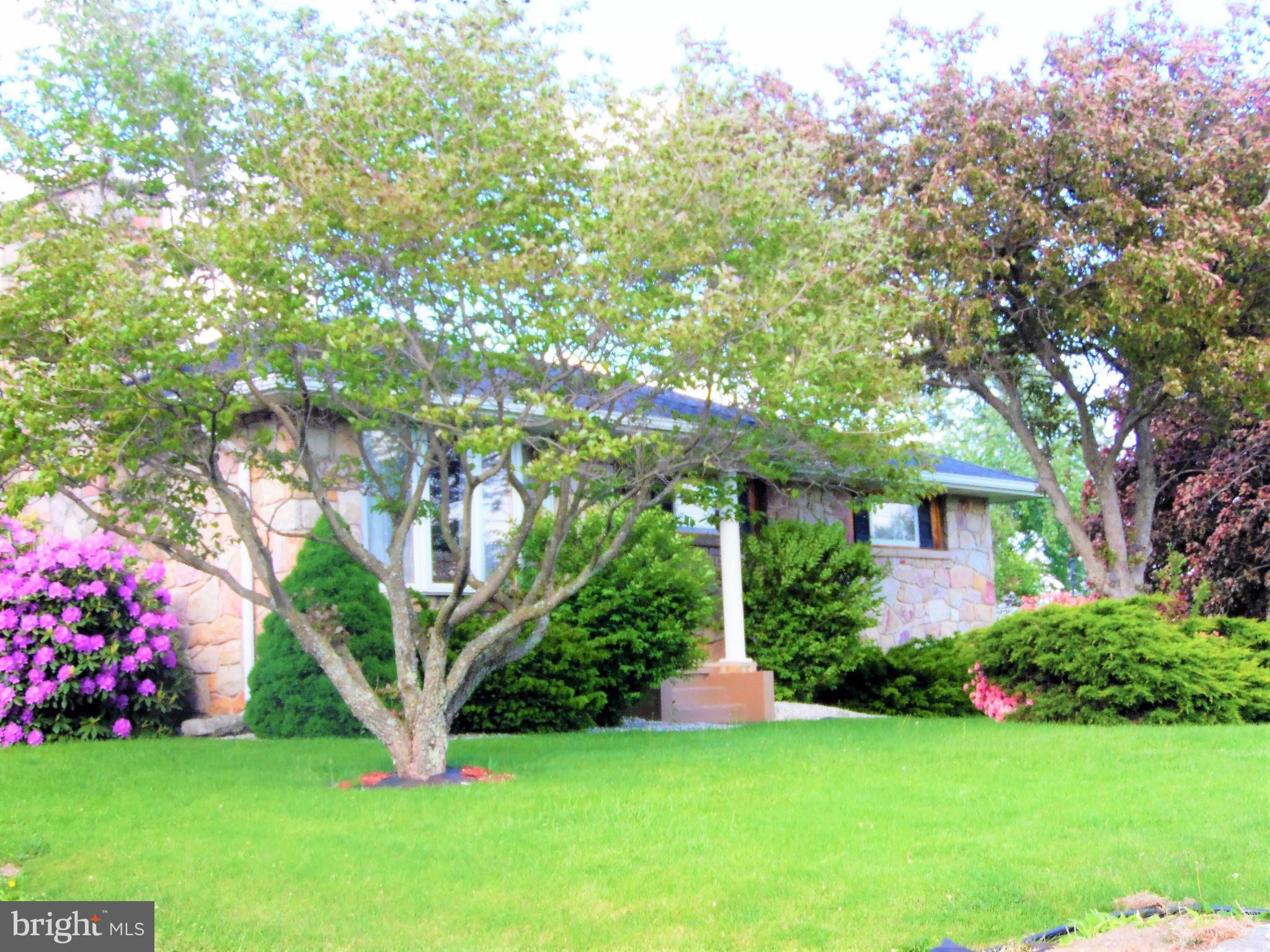 Front Yard View