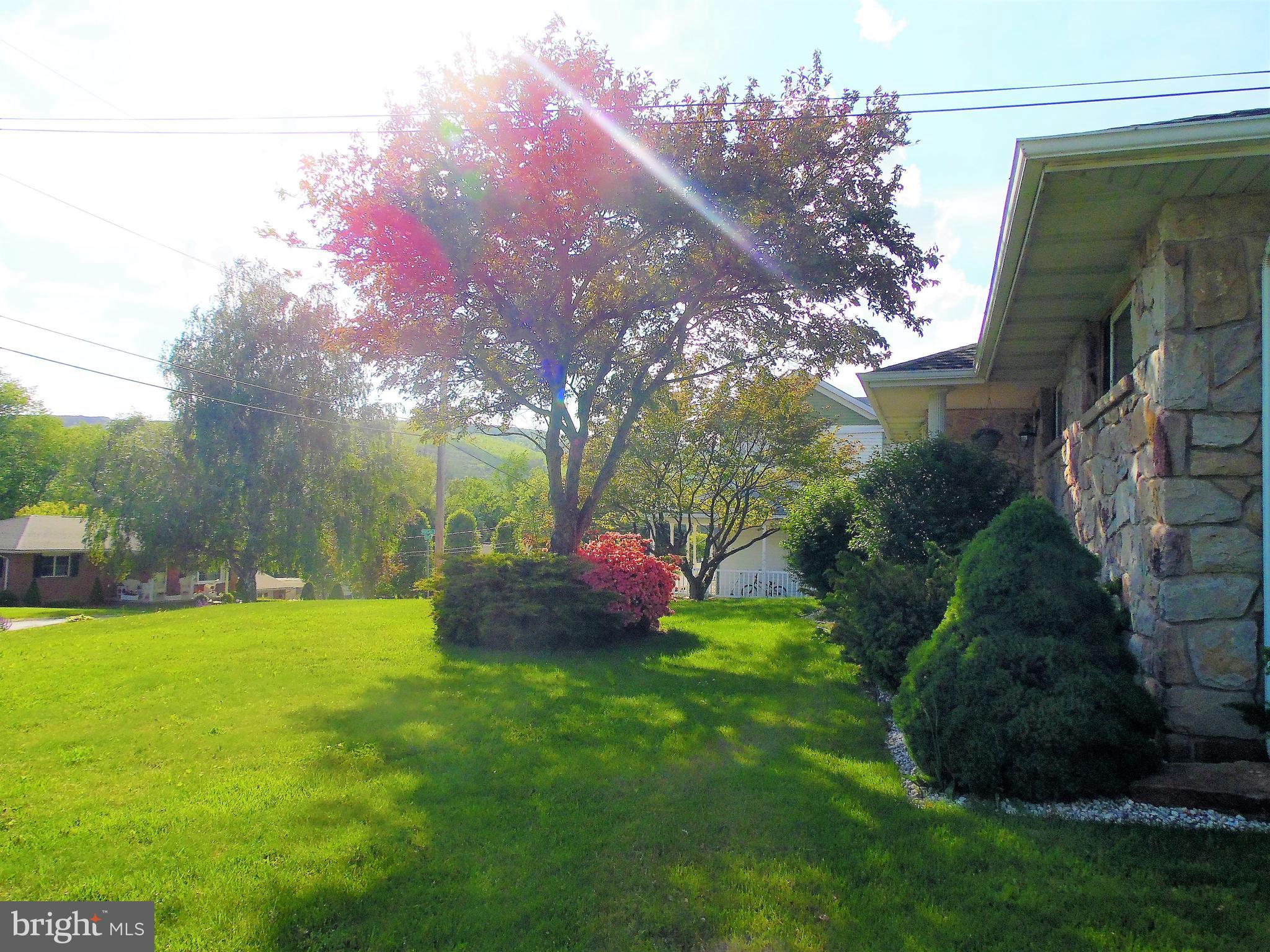 Nice Big Front Yard