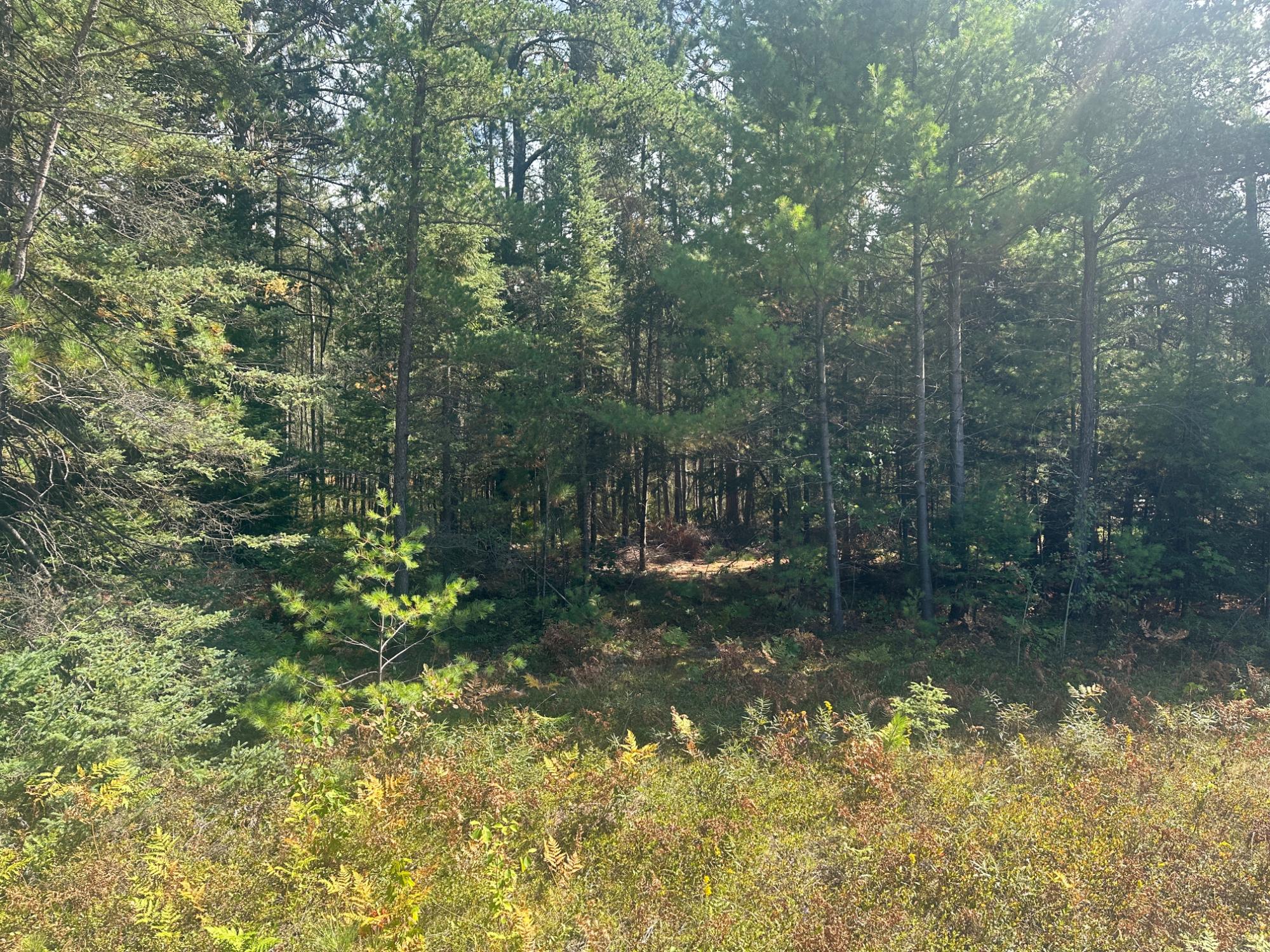 4788 Hwy 17 Rhinelander Wi 54501 Rhinelander, WI 54501 - Photo 3 of 11 Gallery Image 3