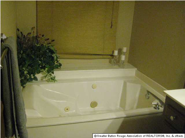 18479 Perkins Oak Road Prairieville, LA 70769 - Photo 6 of 9 Gallery Image 6