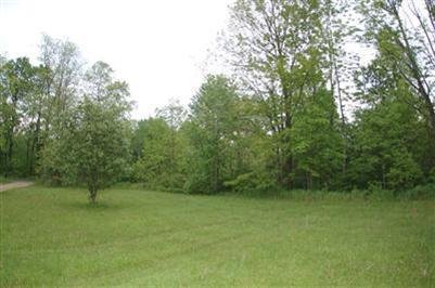 12700 29 Mile Road Homer, MI 49245 - Photo 11 of 13 Additional Photo