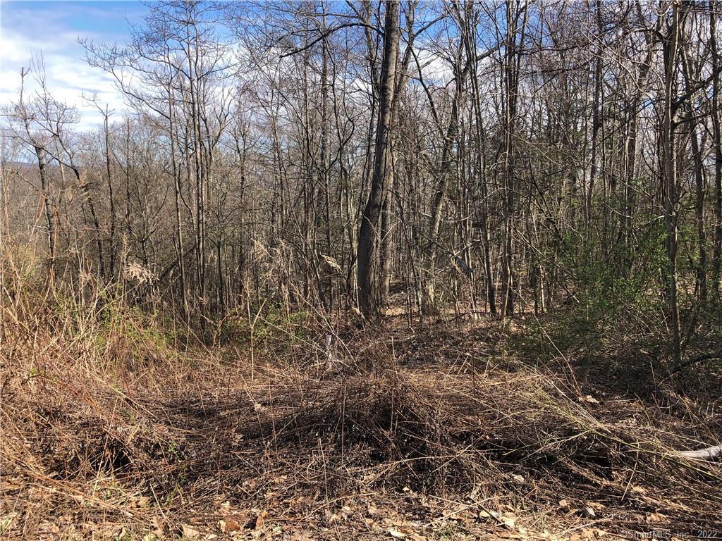 107 Kickapoo Road Middlefield, CT 06455 - Photo 1 of 1 a view of a yard with lots of bushes
