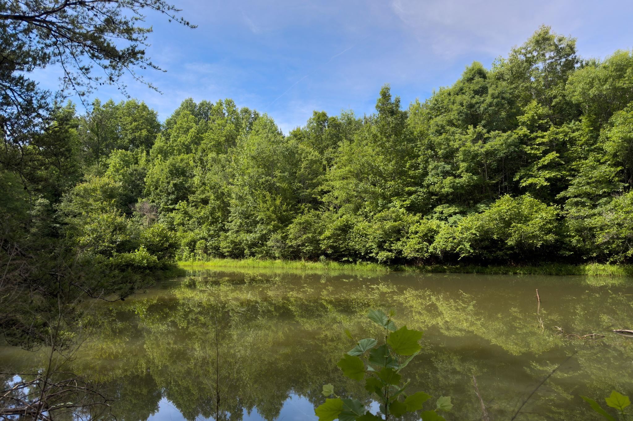 Tbd Melvin Hill Road Campobello, SC 29322 - Photo 21 of 29