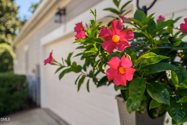 a house view with a outdoor space