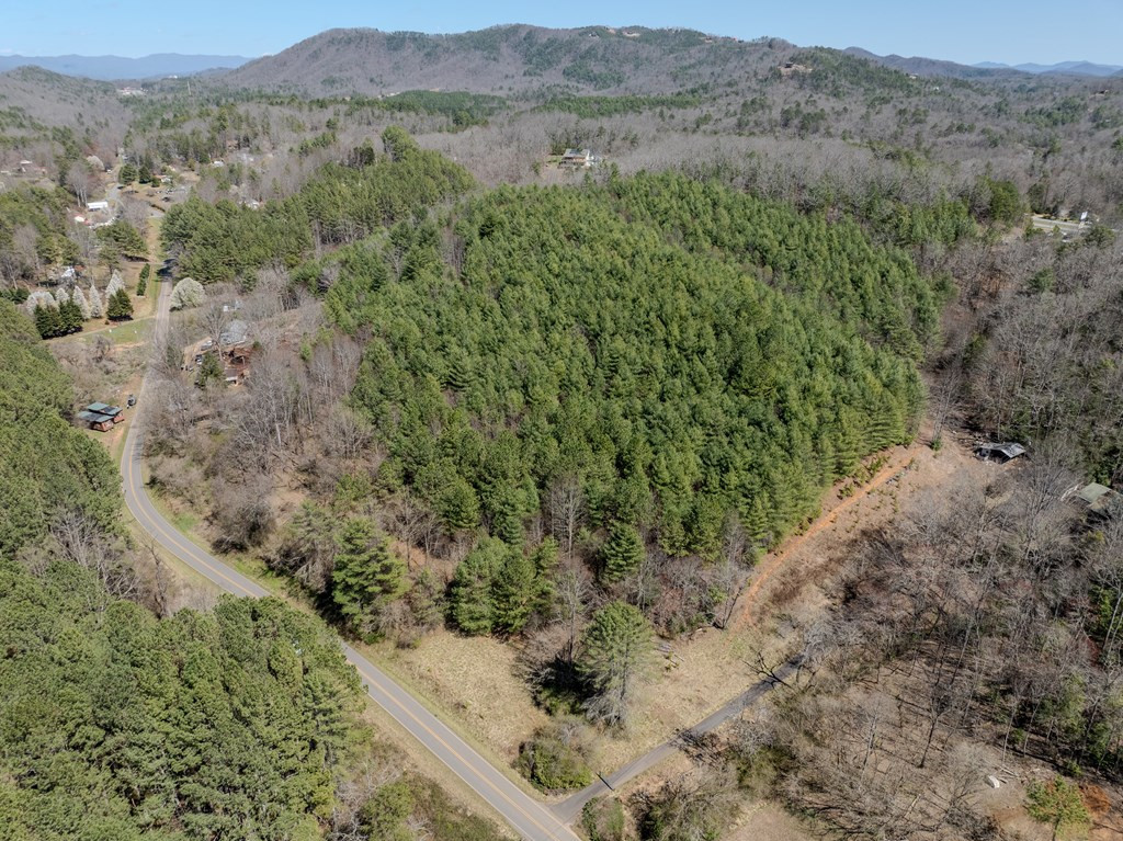 8-acres Old Murphy Road Murphy, NC 28906 - Photo 6 of 10