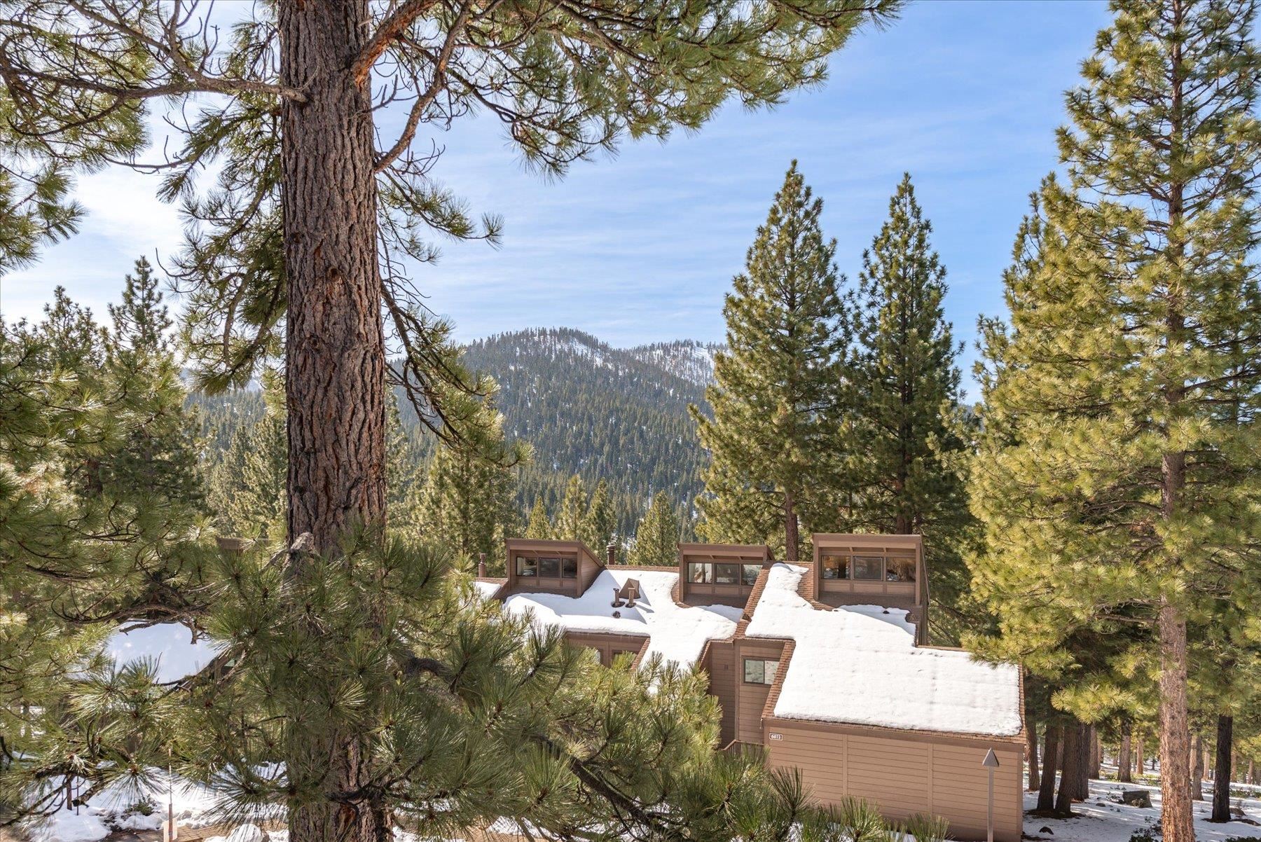 6090 Rocky Point Truckee, CA 96161 - Photo 22 of 28 a view of a yard with plants and a bench
