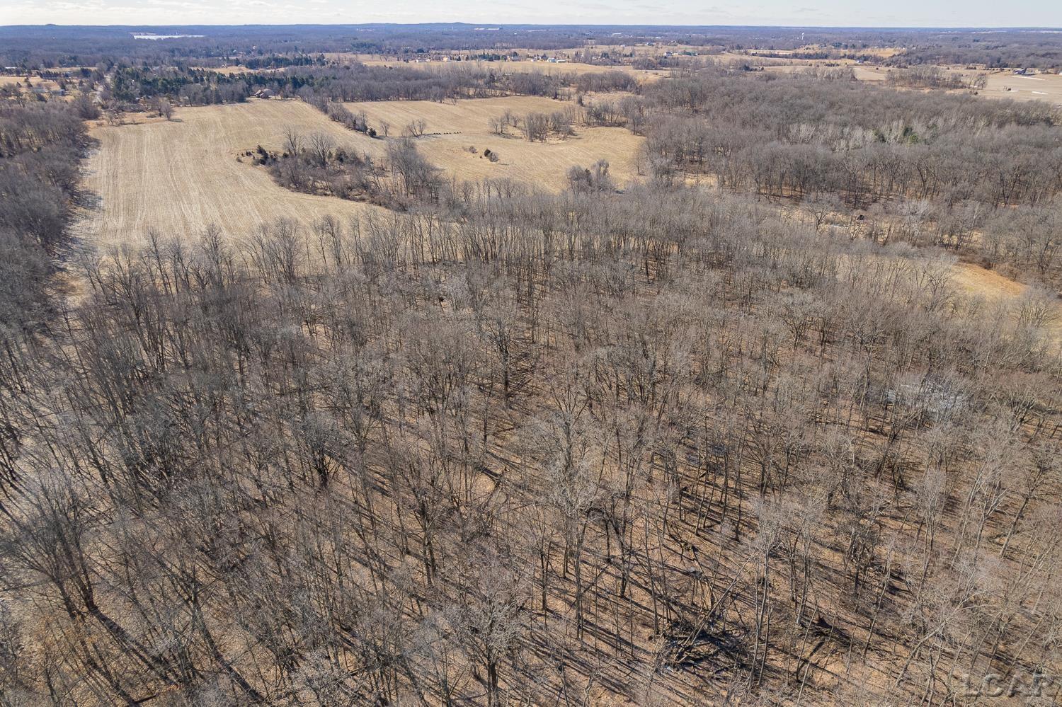 9550 Case Road Brooklyn, MI 49230 - Photo 19 of 34