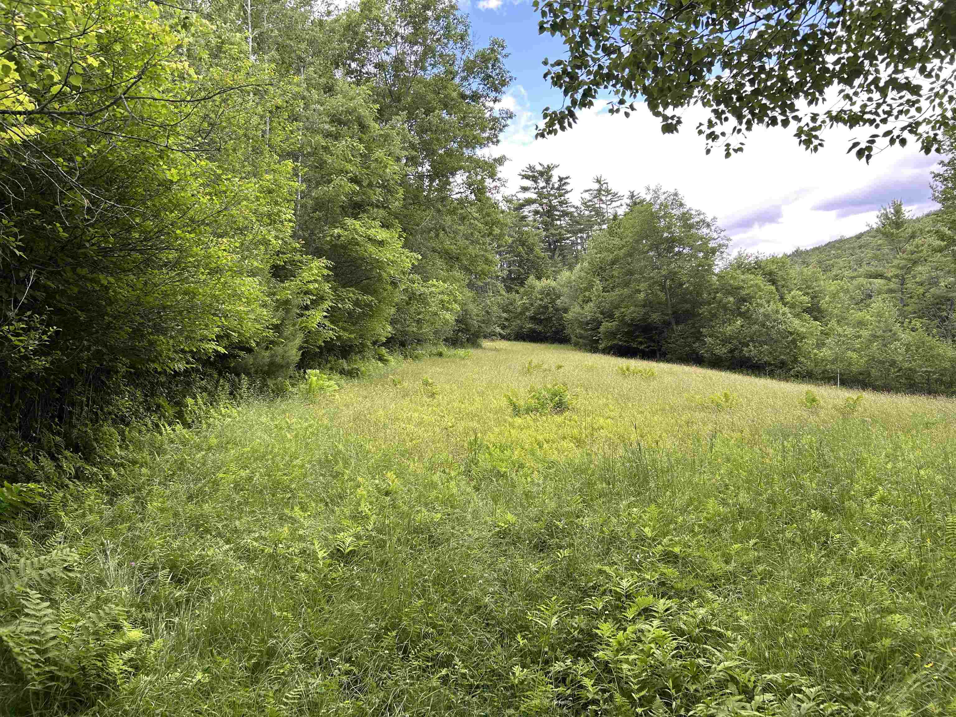 4 Cutler Road Plainfield, NH 03781 - Photo 3 of 28