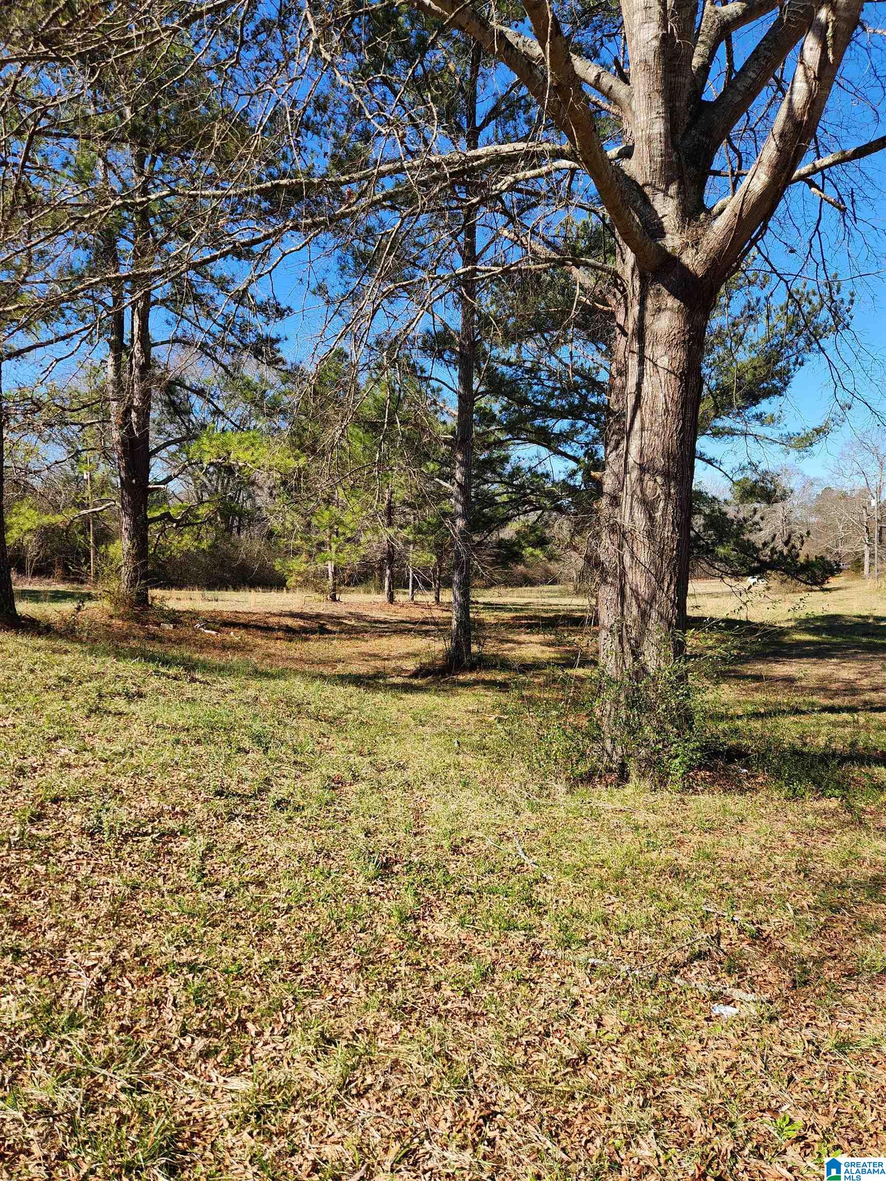 29 Self Road, Unit 1 Anniston, AL 36201 - Photo 2 of 12