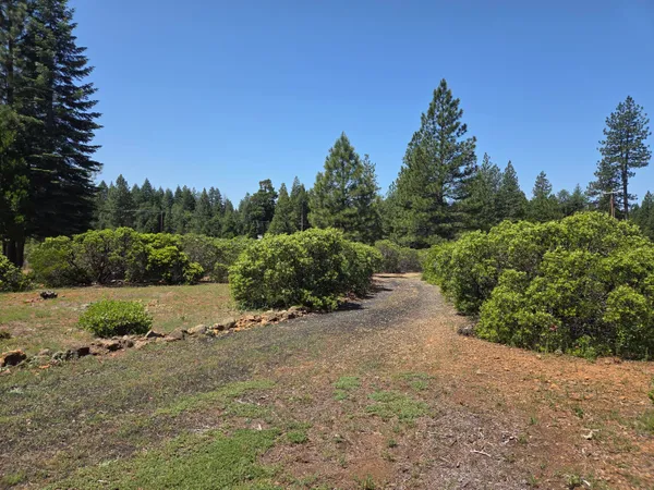 $289,000 | 32711 Twin Pine Drive, Shingletown, CA 96088