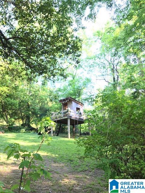 456 Ridge Road Birmingham, AL 35206 - Photo 13 of 14