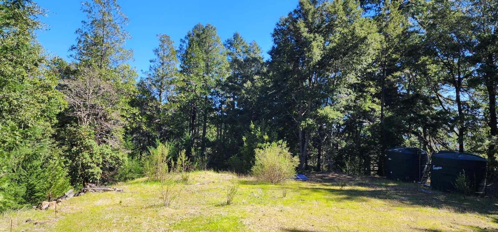0 Salmon Creek Road Miranda, CA 95553 - Photo 7 of 19