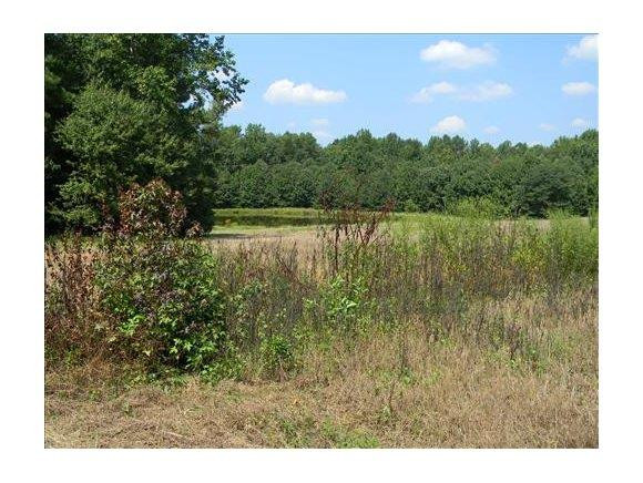 2218 McCray Road Burlington, NC 27217 - Photo 2 of 13 Gallery Image 2