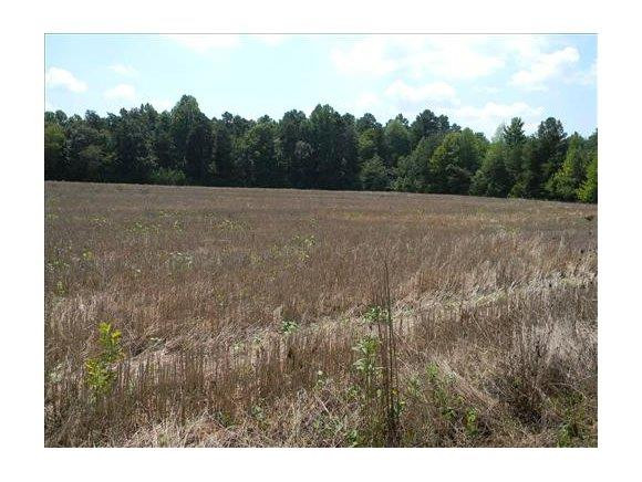 2218 McCray Road Burlington, NC 27217 - Photo 10 of 13 Gallery Image 10