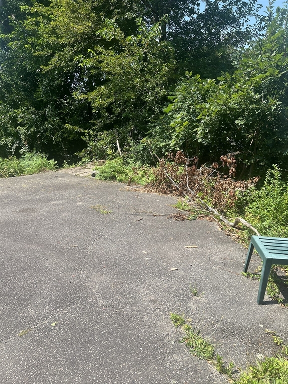 34 Ridlon Road Boston, MA 02136 - Photo 9 of 16 a view of a yard with plants and trees