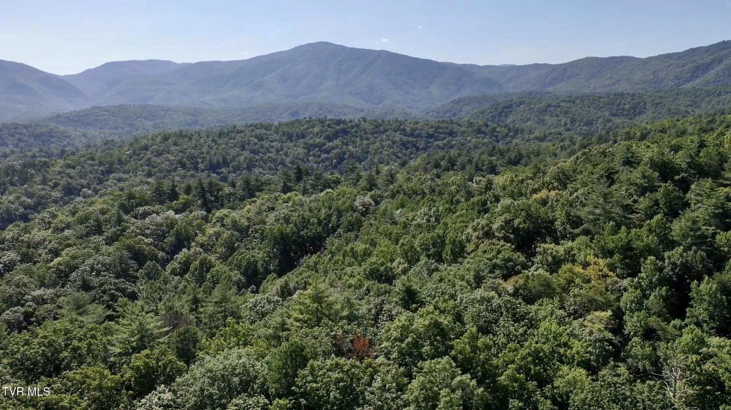 29.38-acre 29.38-acre Bull Mtn Road Del Rio, TN 37727 - Photo 17 of 30 _Pic17 (7)