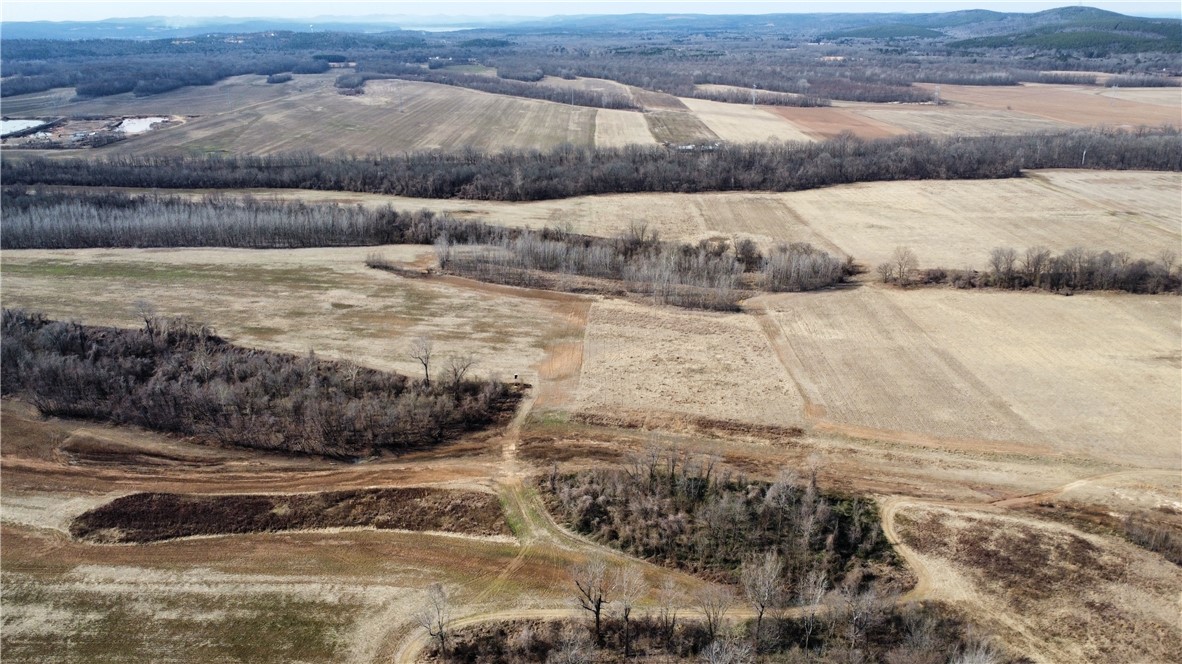 300 Highway 300 Road Roland, AR 72135 - Photo 9 of 28 Gallery Image 9