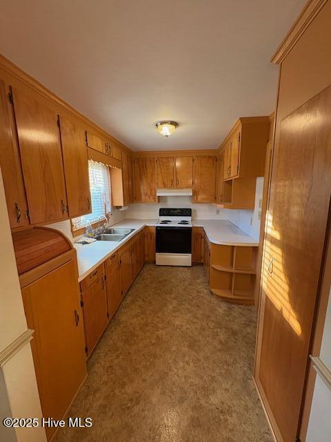 2976 Portertown Road Greenville, NC 27858 - Photo 11 of 25 IMG_9327