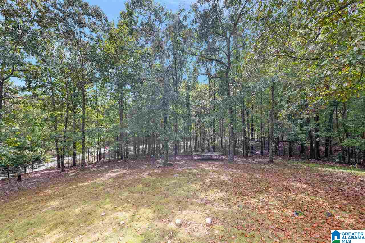 200 North Way Birmingham, AL 35242 - Photo 28 of 29