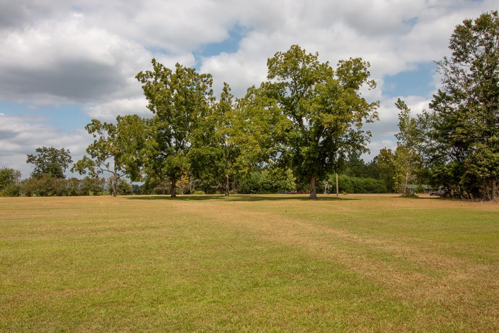 1154 Hunter Road Columbia, AL 36319 - Photo 33 of 38