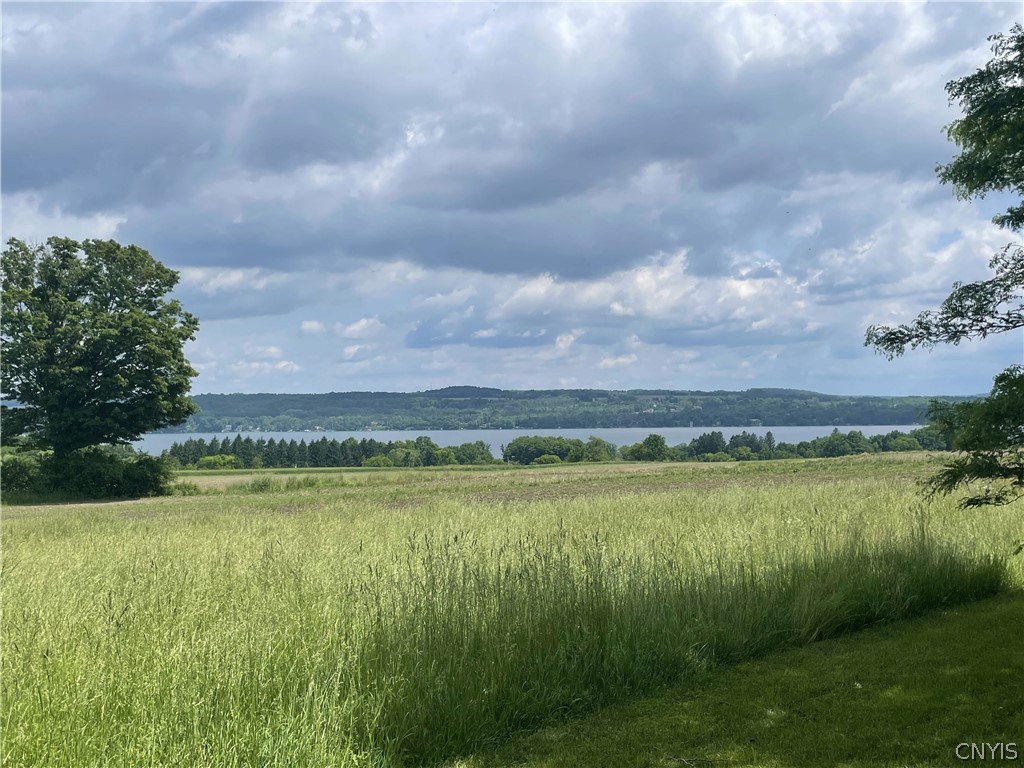 1676 West Lake Road Skaneateles, NY 13152 - Photo 1 of 9