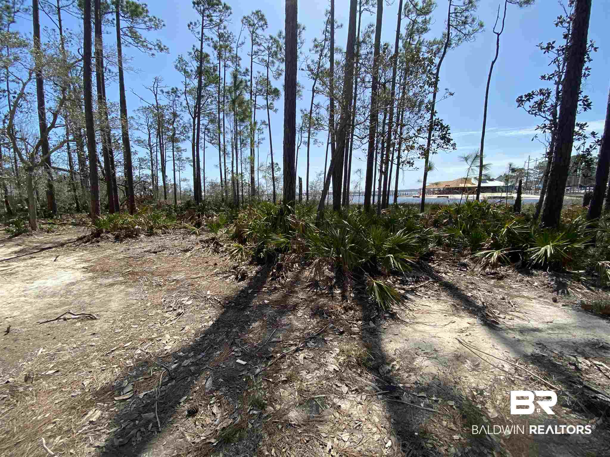 28885 Hopetown Lane Elberta, AL 36530 - Photo 24 of 26
