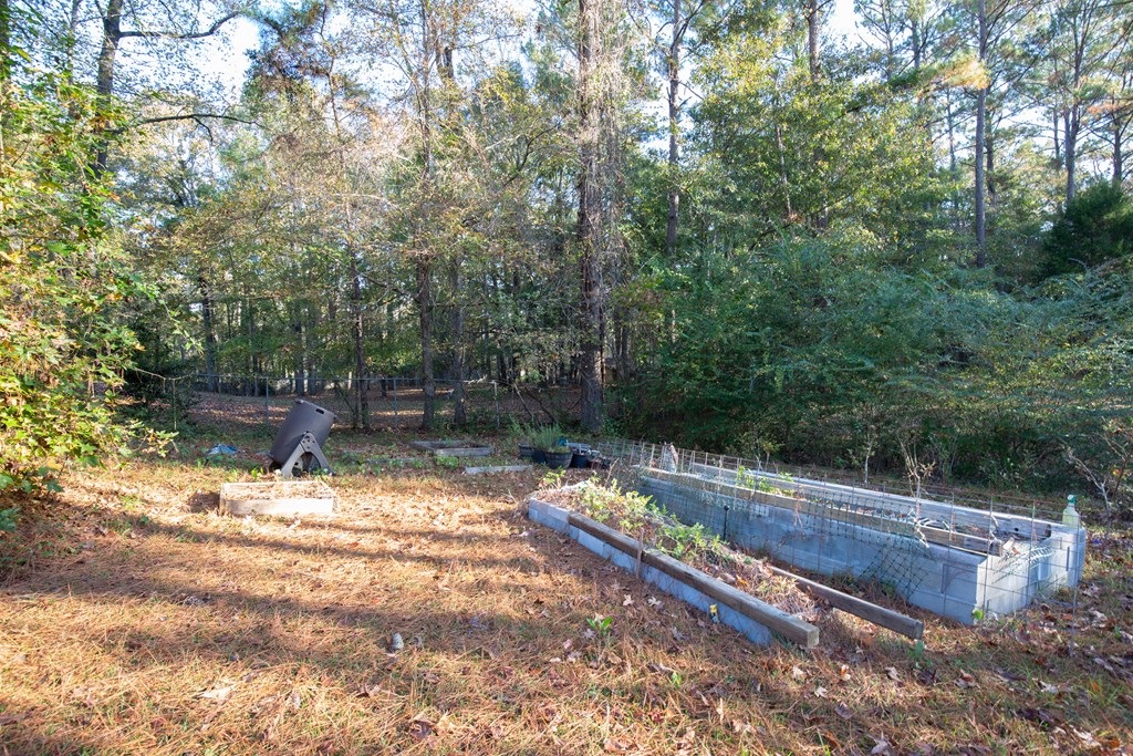 6916 Lynch Road Midland, GA 31820 - Photo 29 of 36