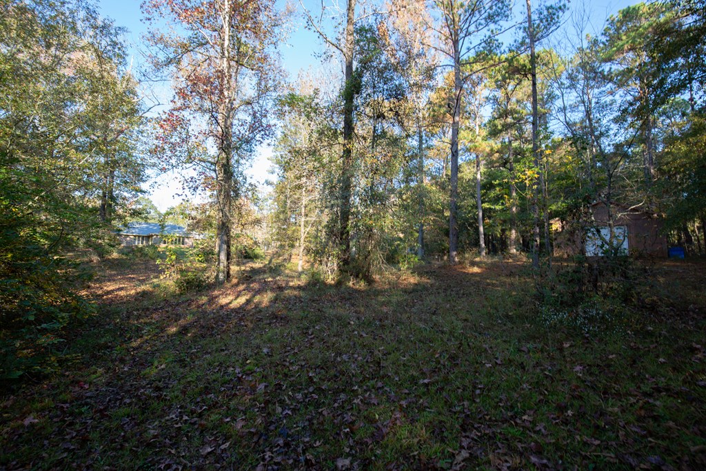 6916 Lynch Road Midland, GA 31820 - Photo 31 of 36