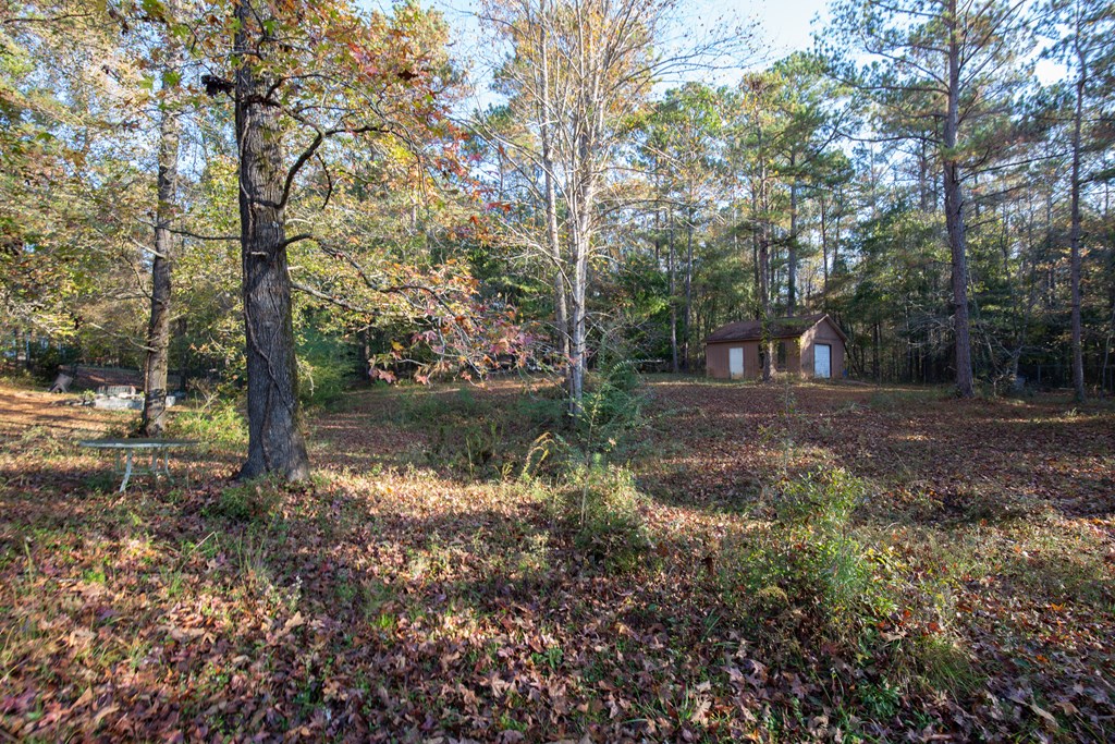 6916 Lynch Road Midland, GA 31820 - Photo 33 of 36