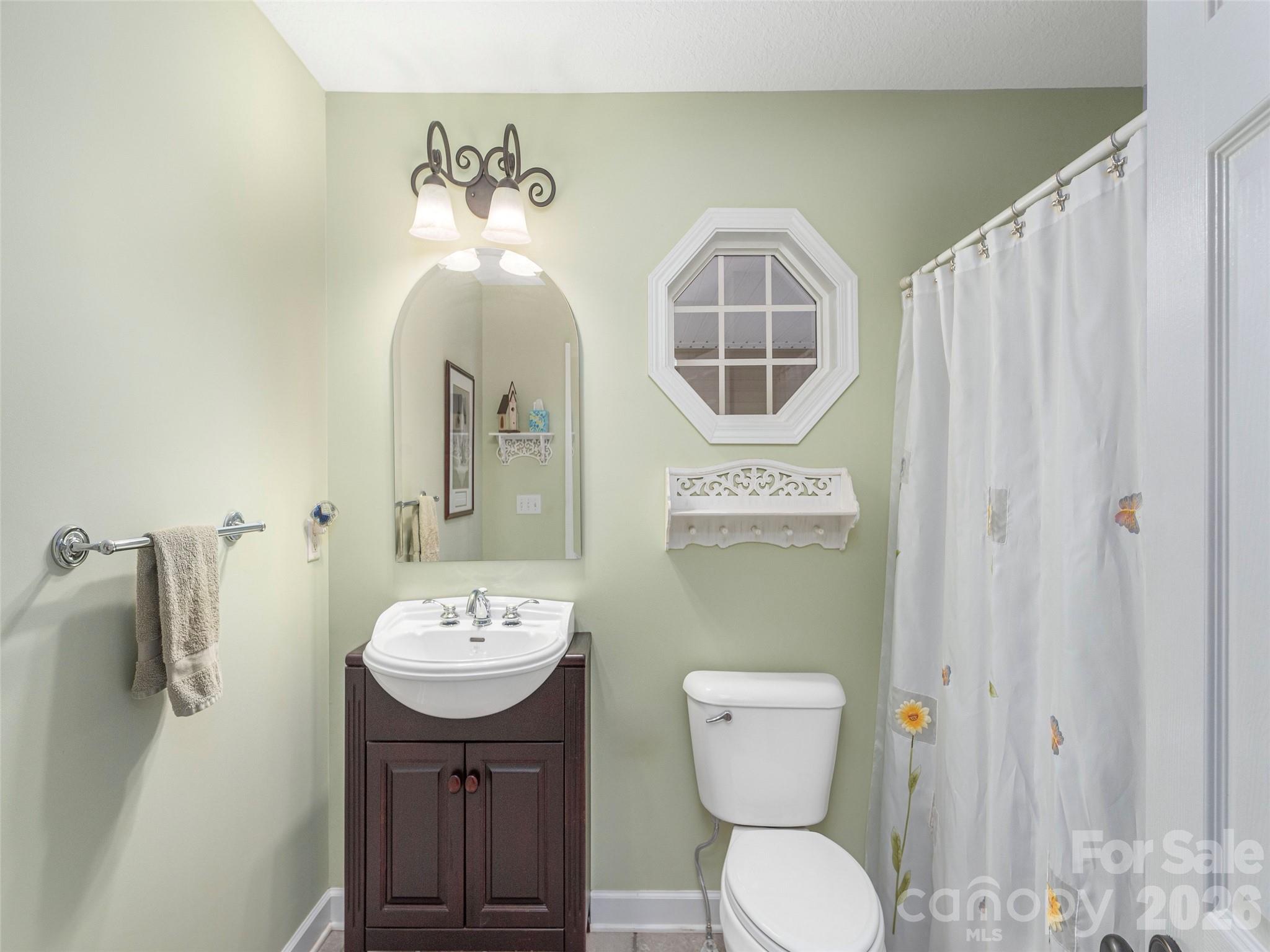 22 Cottage Loop Waynesville, NC 28785 - Photo 17 of 26 a bathroom with a toilet a sink and mirror