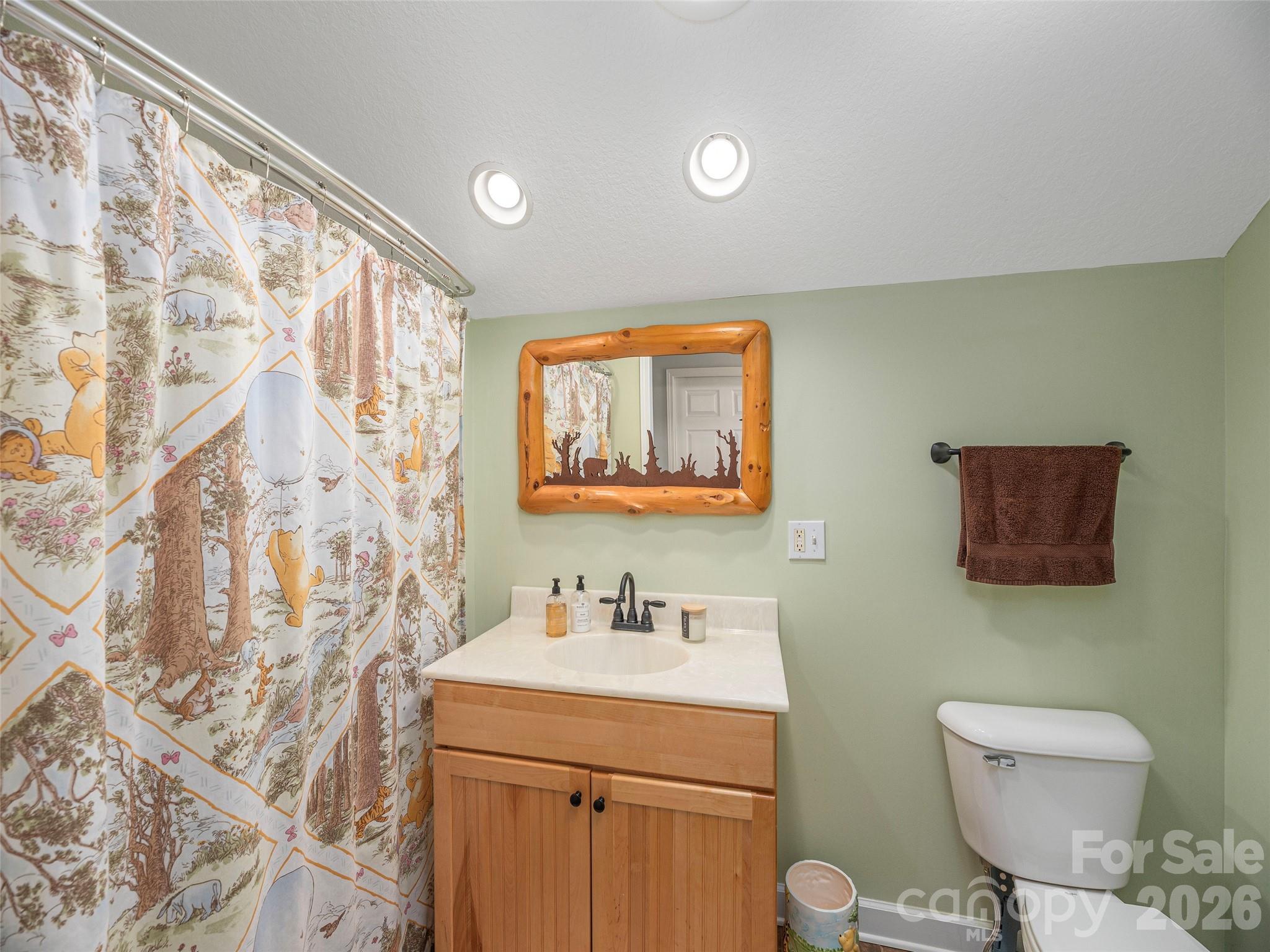 22 Cottage Loop Waynesville, NC 28785 - Photo 22 of 26 a bathroom with a sink a mirror a toilet and a shower curtain