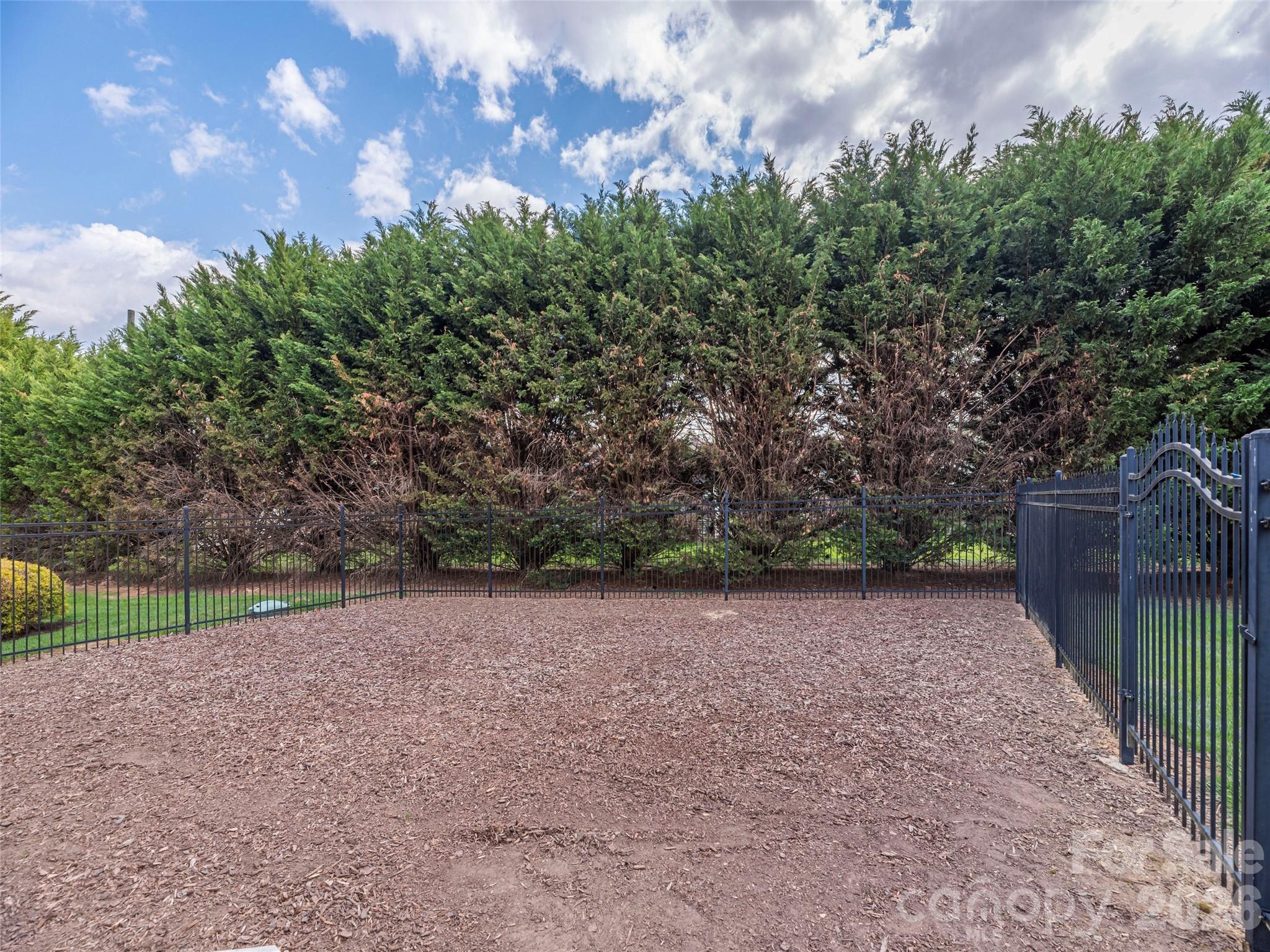 22 Cottage Loop Waynesville, NC 28785 - Photo 25 of 26 a view of a field with a tree in the background