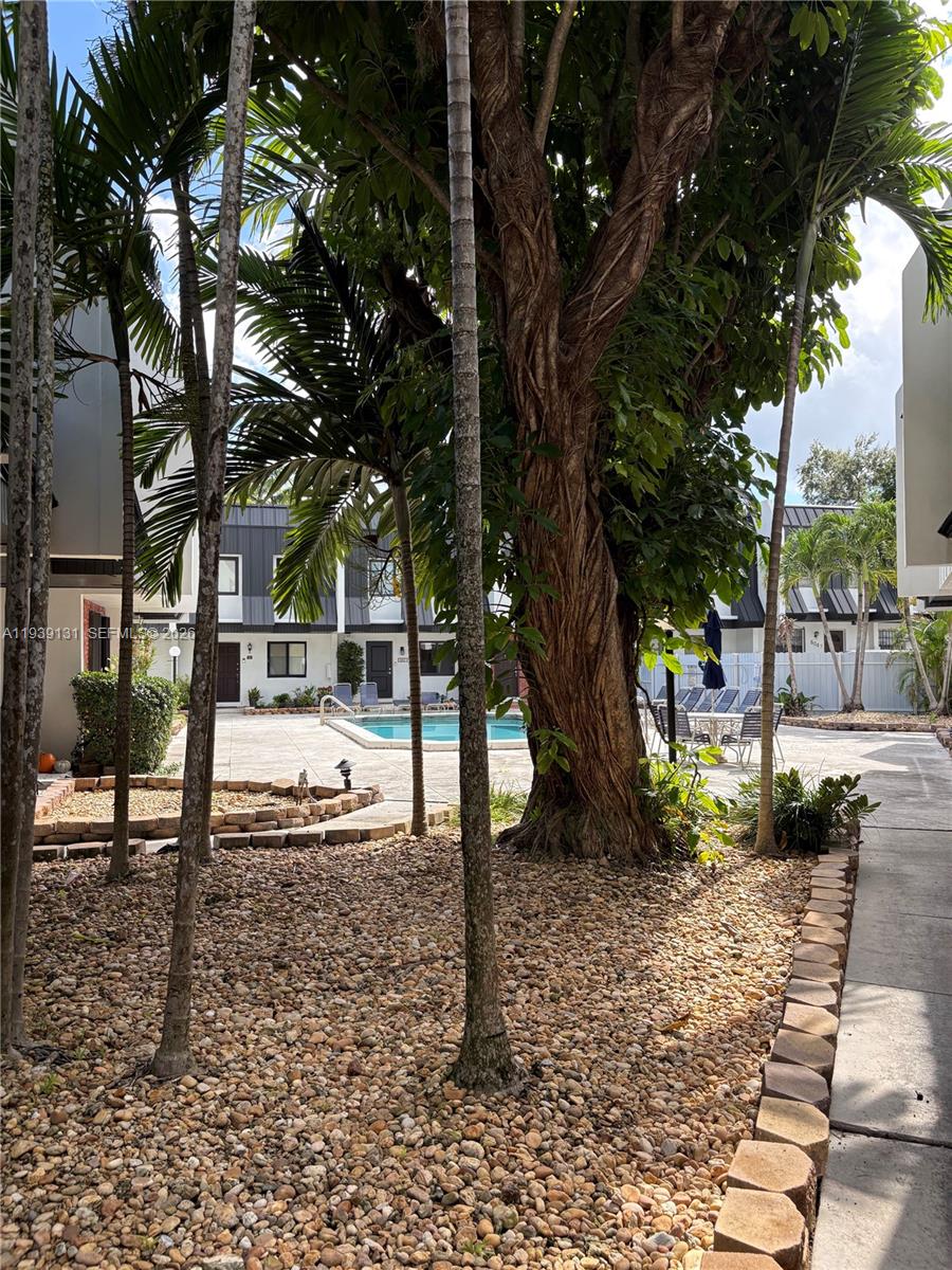 5555 Ludlam Road, Unit 25 South Miami, FL 33155 - Photo 25 of 27 a view of a yard with a tree