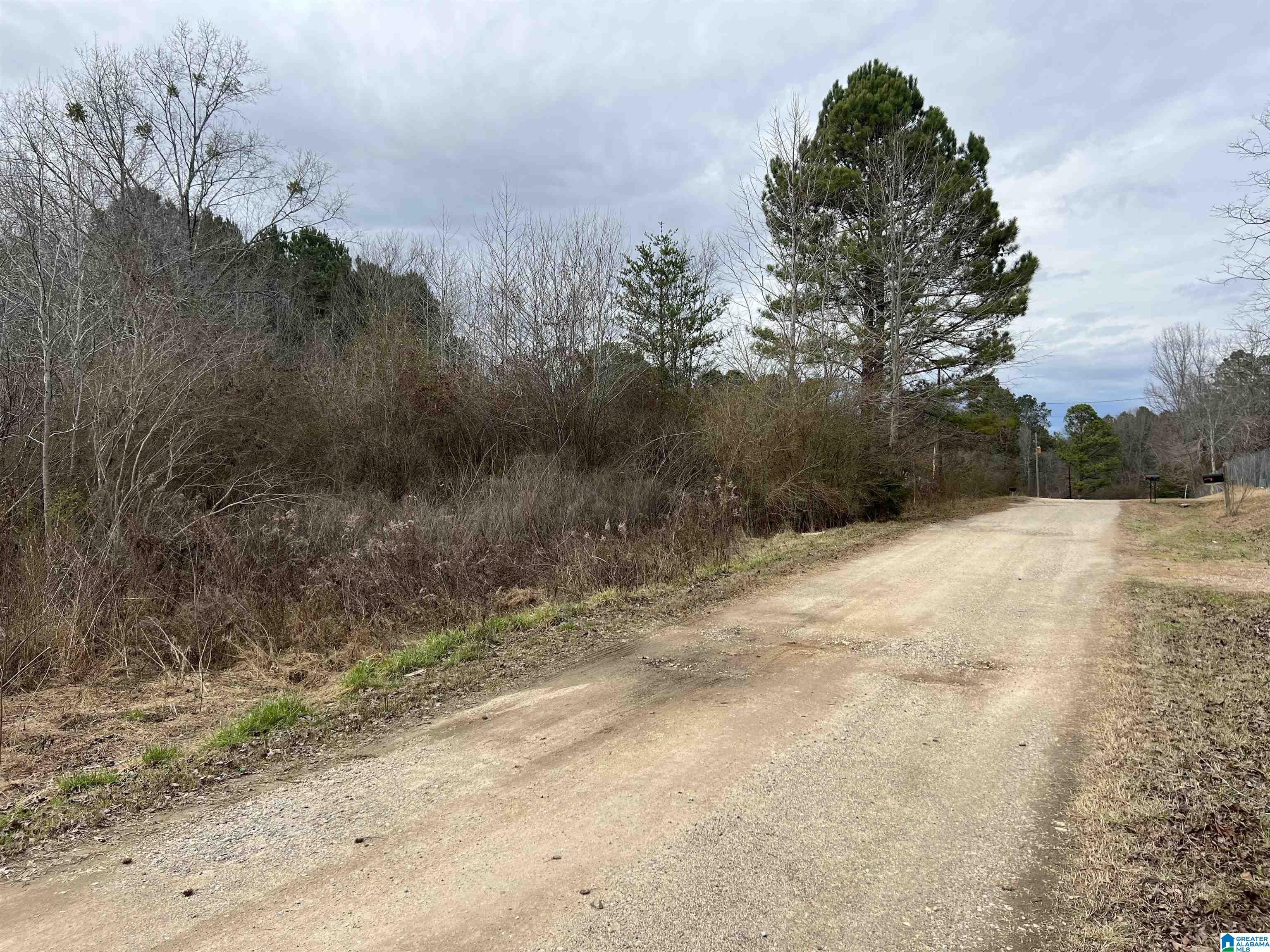 0 3 D Ranch Road Locust Fork, AL 35097 - Photo 2 of 2 Gallery Image 2