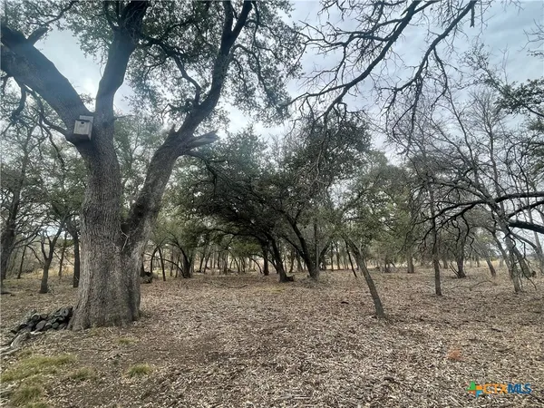 a view of outdoor space with trees