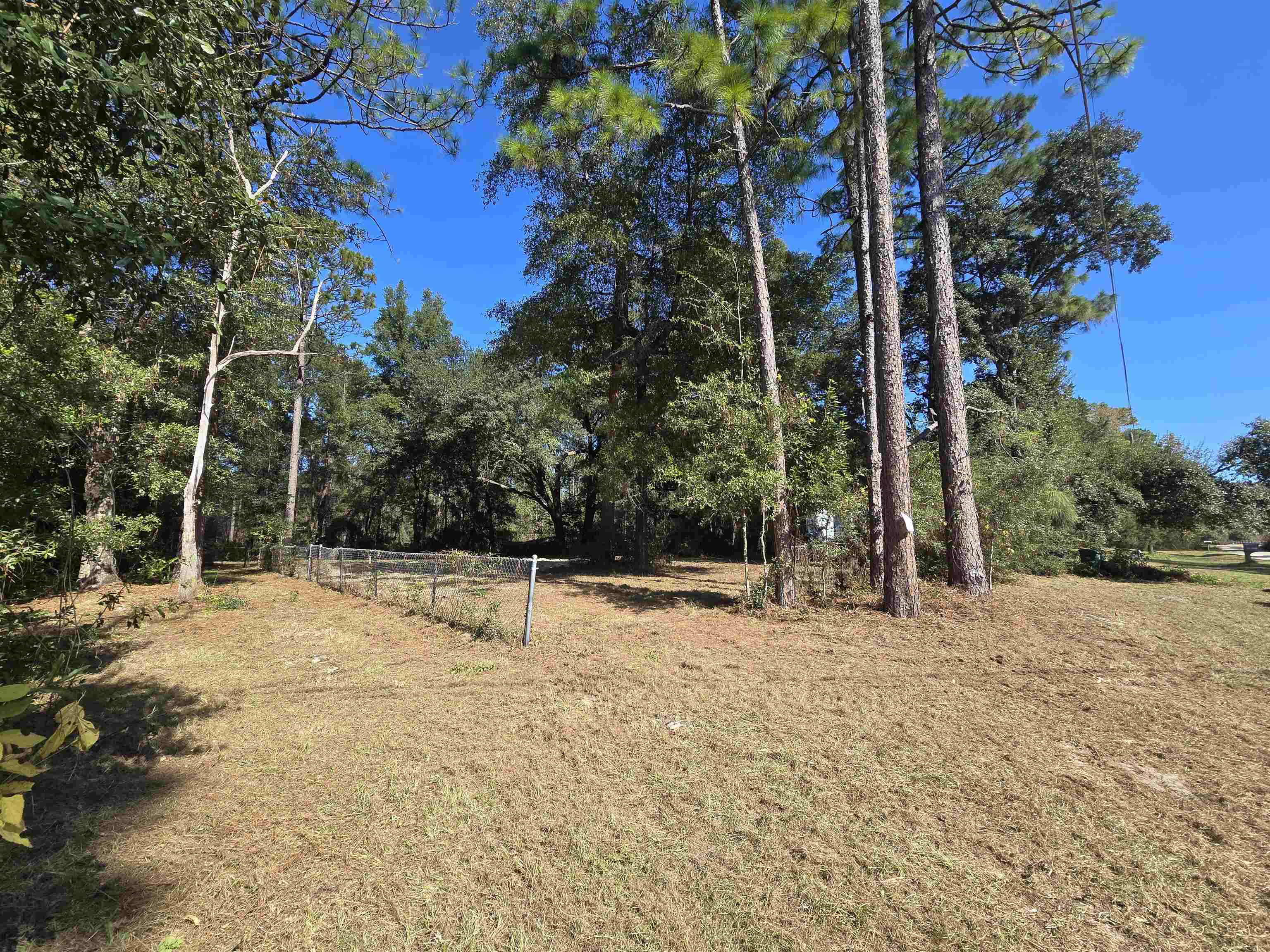 2658 Low Ridge Lane Tallahassee, FL 32305 - Photo 14 of 18