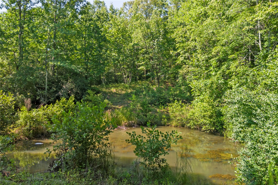 155 Dixie Lane Mountain Rest, SC 29664 - Photo 3 of 30