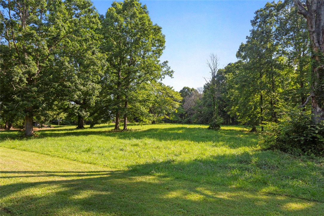 155 Dixie Lane Mountain Rest, SC 29664 - Photo 4 of 30