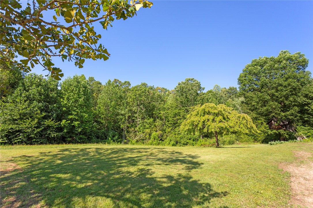 155 Dixie Lane Mountain Rest, SC 29664 - Photo 5 of 30